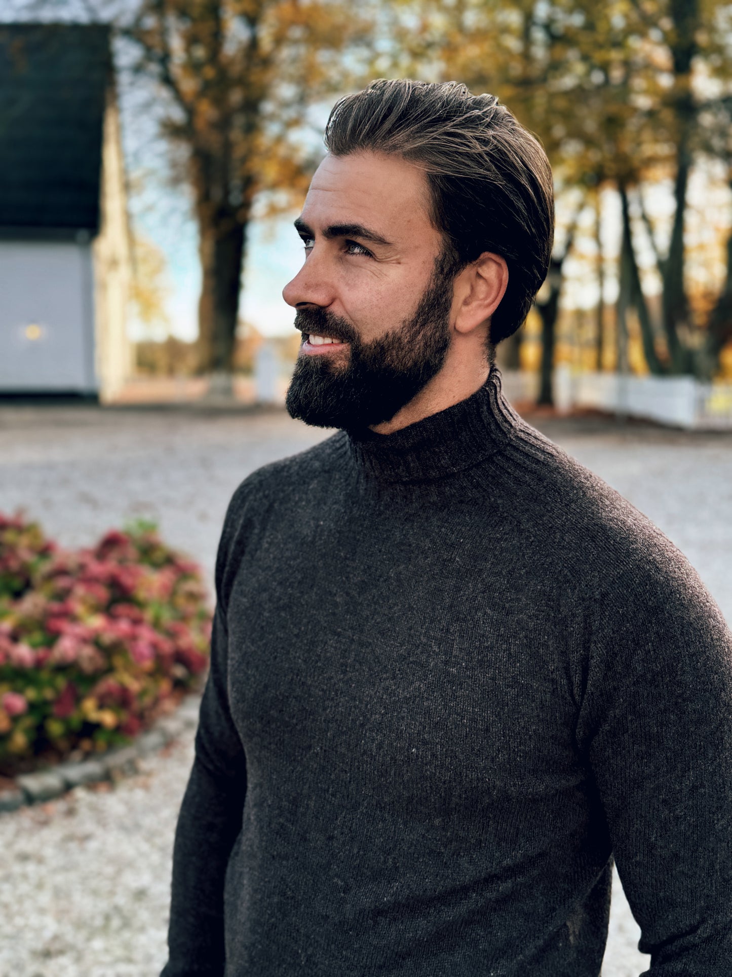 Ballater Mens Roll Neck Sweater, Porcupine, Geelong lambswool